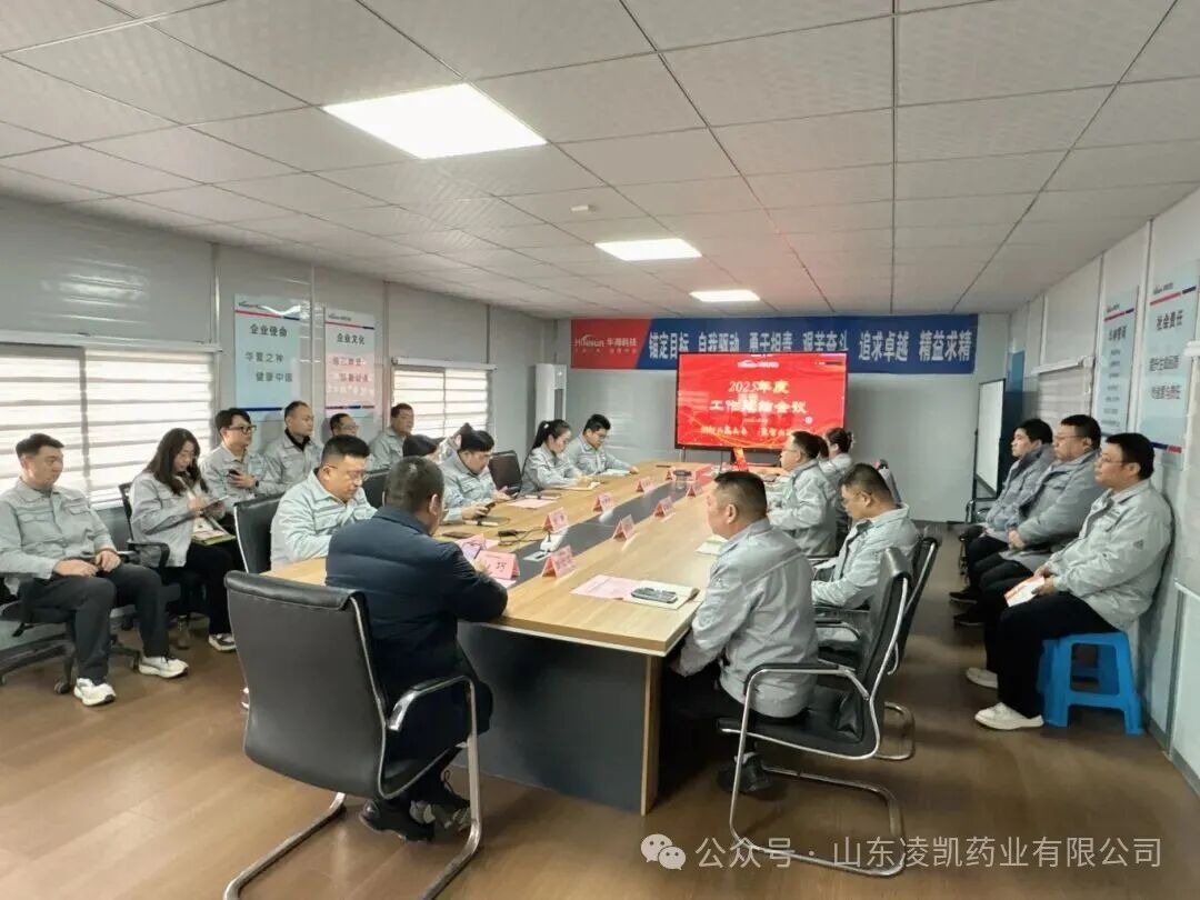 神马跃星河 聚力赢未来  | 山东凌凯药业2025年度工作总结会议圆满举行